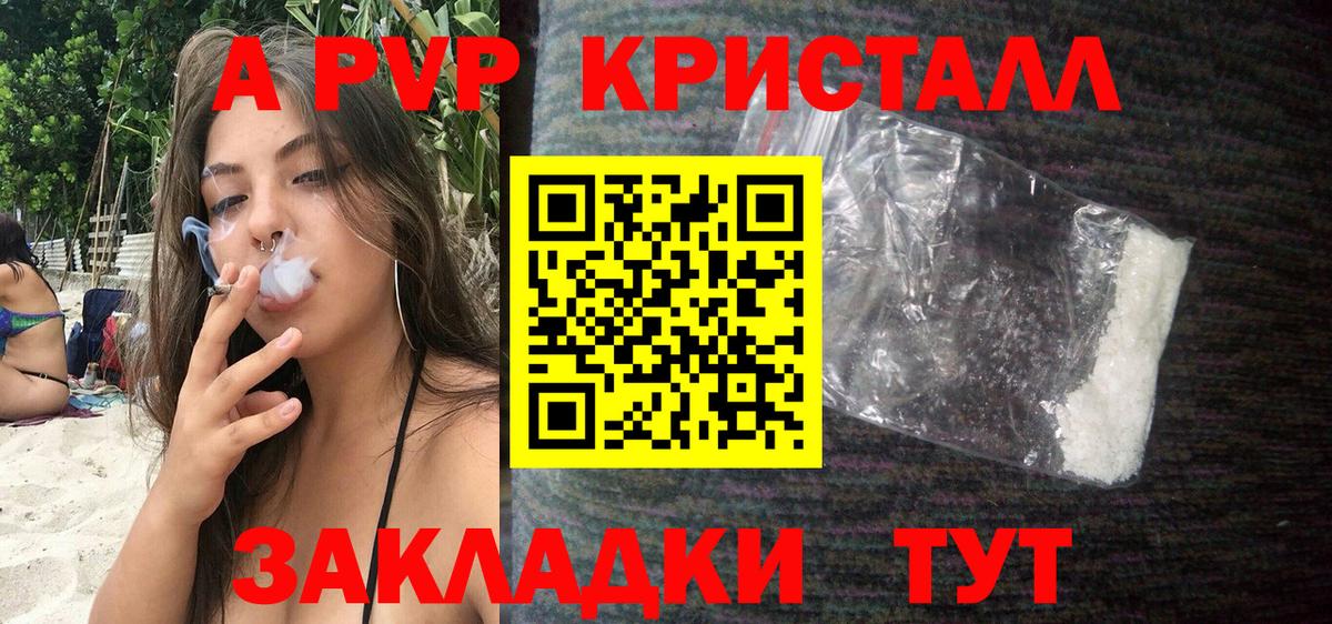 Alfa_PVP СК Апшеронск