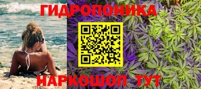 не бодяженный Бийск