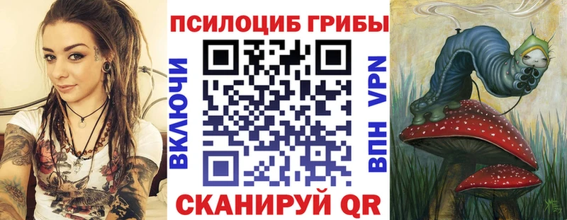 где купить наркотик  Апшеронск  MEGA онион  Псилоцибиновые грибы Magic Shrooms 
