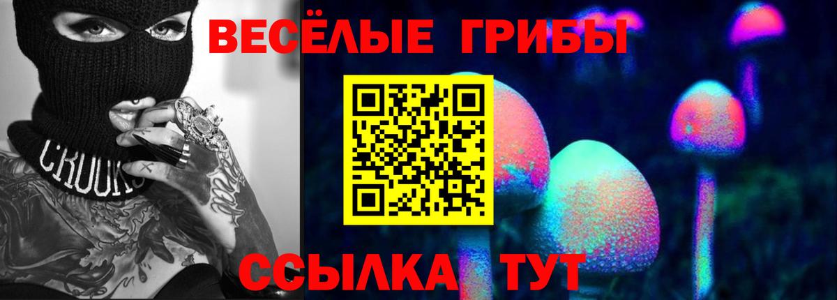 Апшеронск  дарнет шоп  Галлюциногенные грибы GOLDEN TEACHER  Вход с VPN  Псилоцибиновые грибы GOLDEN TEACHER 